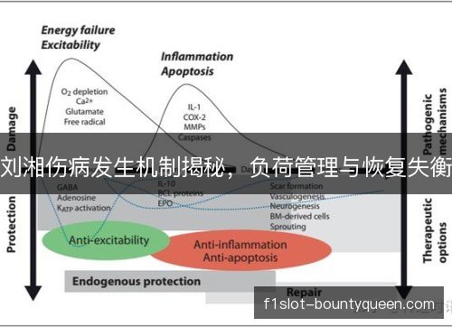 刘湘伤病发生机制揭秘，负荷管理与恢复失衡